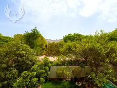 Rare Park Facing | Single Row | Motivated Sale