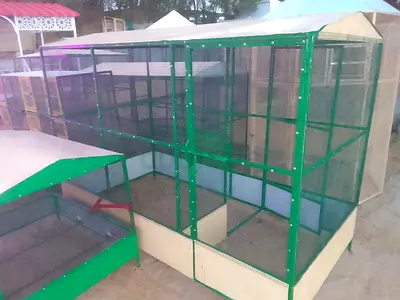 Large metal and mesh outdoor bird aviary / birdcage