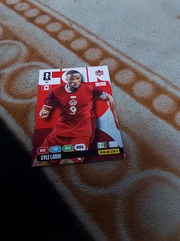 Panini