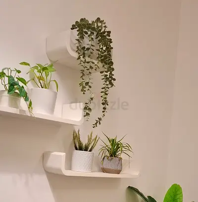 Set of 3 White Wall Floating Shelves — Modern Display Shelves