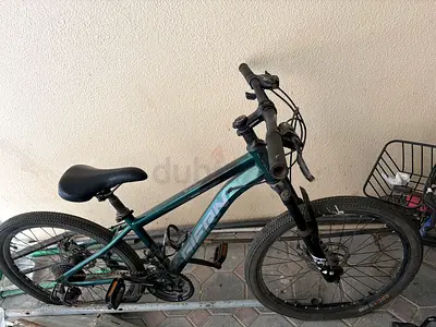 Giant mountain bike - 26 wheel, used, good working condition