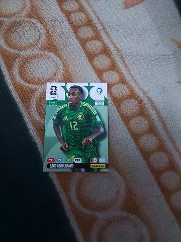 Panini
