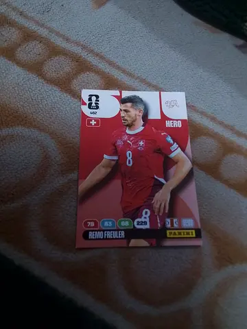 Panini