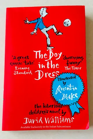 David Walliams The Boy In The Dress