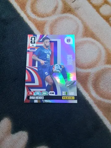 Panini