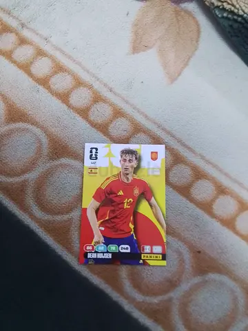 Panini