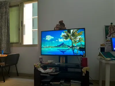 49 inch LG Tv with magic Remote and TV stand