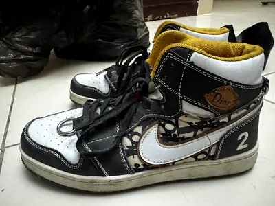 Dior nike jordans