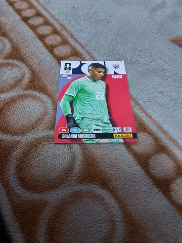 Panini