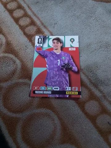 Panini