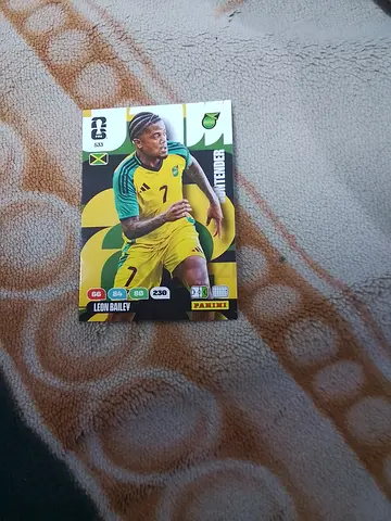Panini