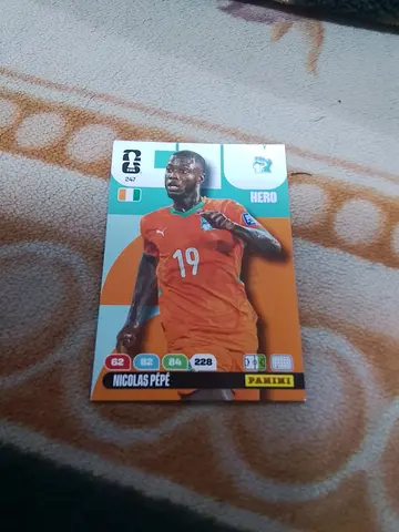 Panini