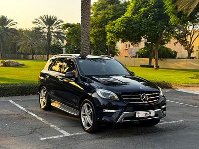 2014 Mercedes-BENZ M-CLASS 照片 2
