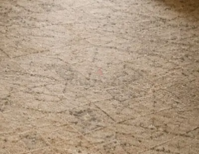 Carpet