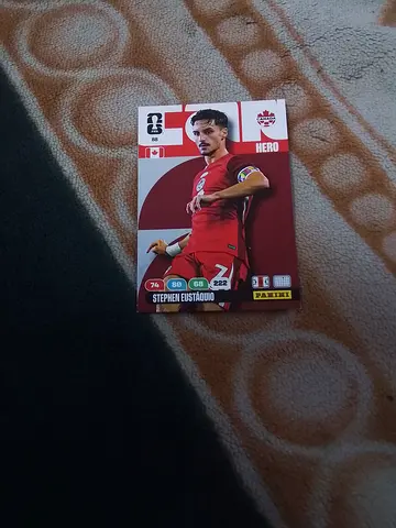 Panini