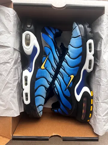 Nike Air Max Plus Blue Gradient Sneakers