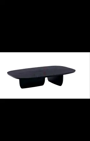 Modern Black Oval Coffee Table