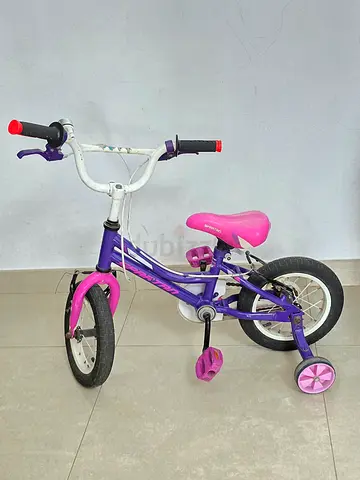 Kids 12-Inch Bicycle (Pink  Purple) - Excellent Condition!