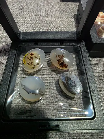 Set of 4 Polished Dendritic Aqeeq Agate - عقيق مصور
