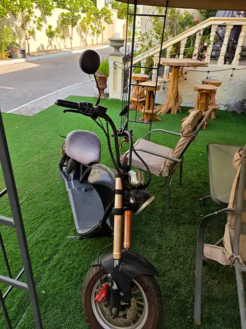 Coco Harley electric bike