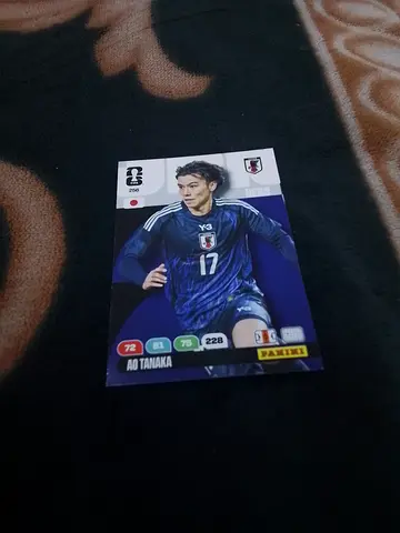 Panini