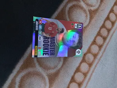 Panini