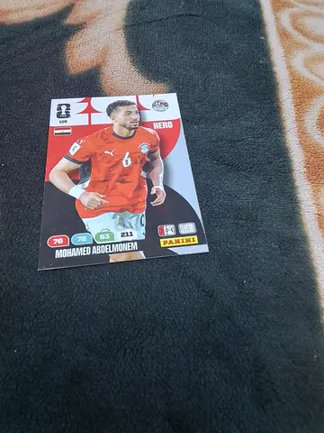 Panini