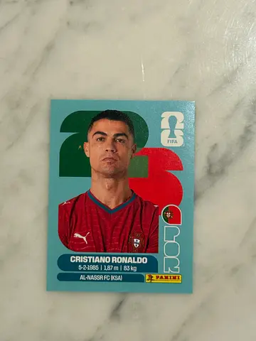 Panini world cup sticker