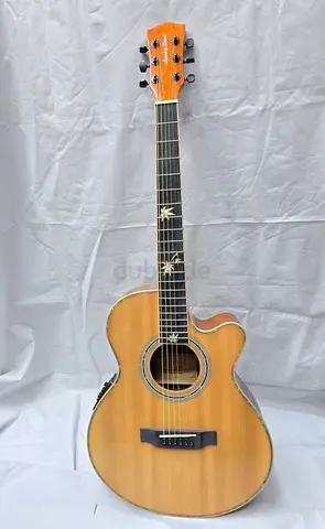 Semi Acoustic Guitar 41 with Fisherman pickup - Brand new