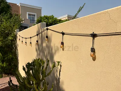 Outdoor string Edison bulb lights - 20 Bulbs, decorative patio lighting