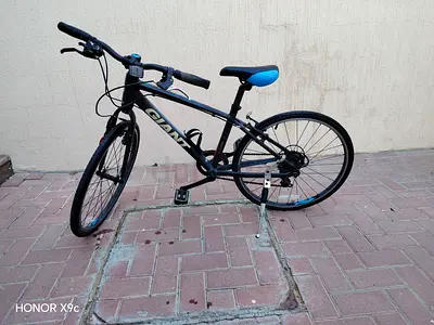 Giant hybrid bike — good condition, 26-inch frame (2016 Giant escape jr24, modified)