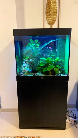200L Aquarium with Cabinet