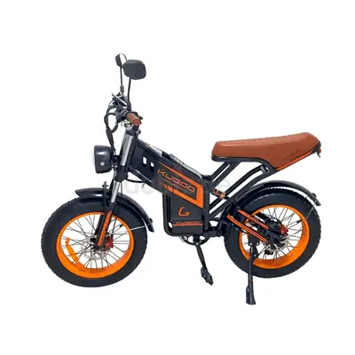 Kugoo Electric Bike 20Ah 750W V5
