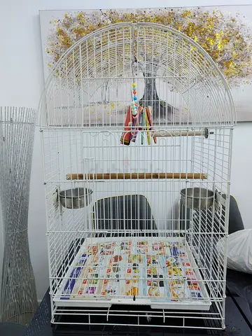 Bird cage with toys and food