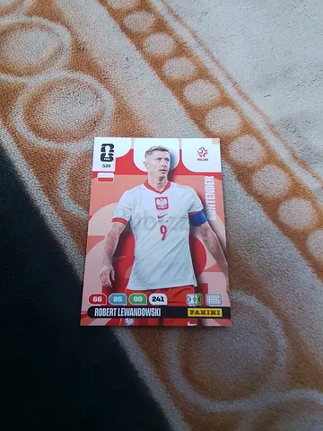 Panini