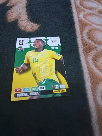 Panini