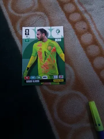 Panini