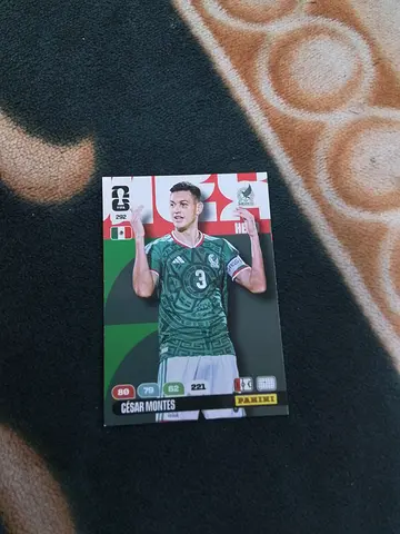 Panini
