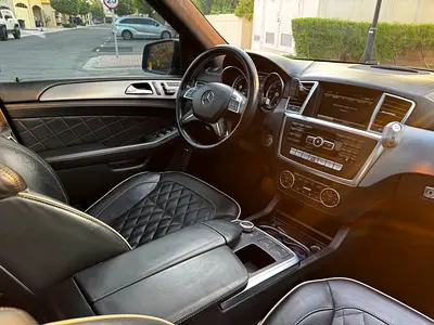 2014 Mercedes-BENZ M-CLASS 照片 9