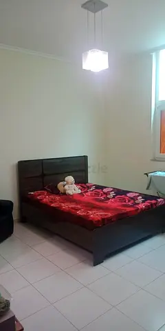 Fully Furnished Master Bedroom with attached Toilet