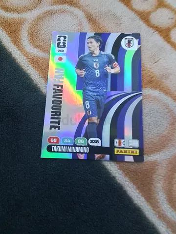 Panini