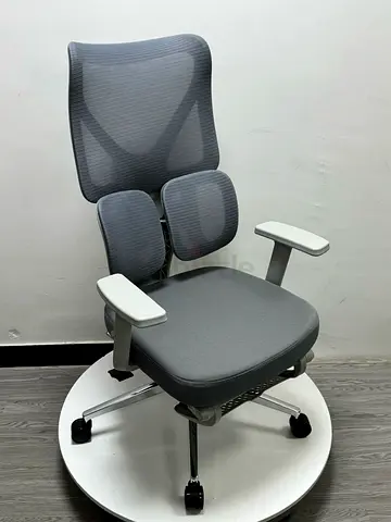 Ergonomic Mesh Office Chair with Lumbar Support