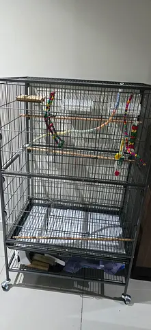 Bird cage large