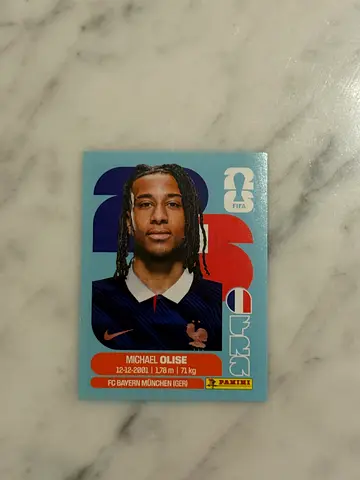 Panini World Cup sticker