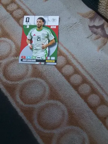 Panini