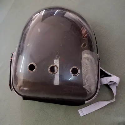 Astronaut Cat Backpack Carrier 🐾 (Al Ain / Dubai)