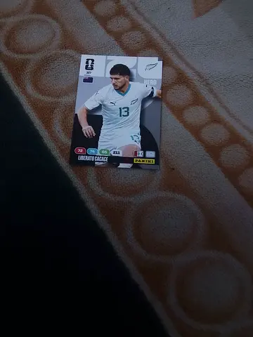 Panini