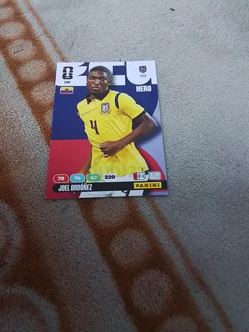 Panini