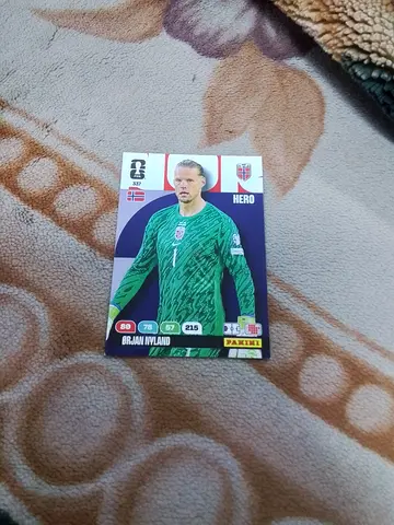 Panini