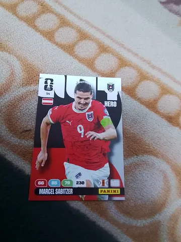 Panini
